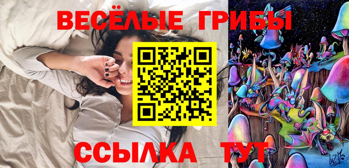 Псилоцибиновые грибы Psilocybe Полевской